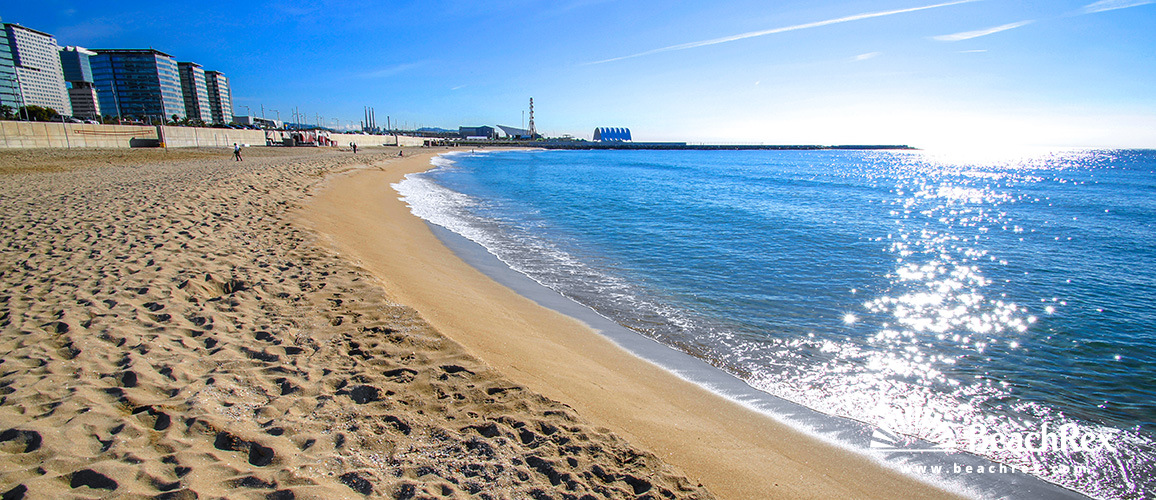 Spain - Àmbit metropolità -  Barcelona - Beach Llevant