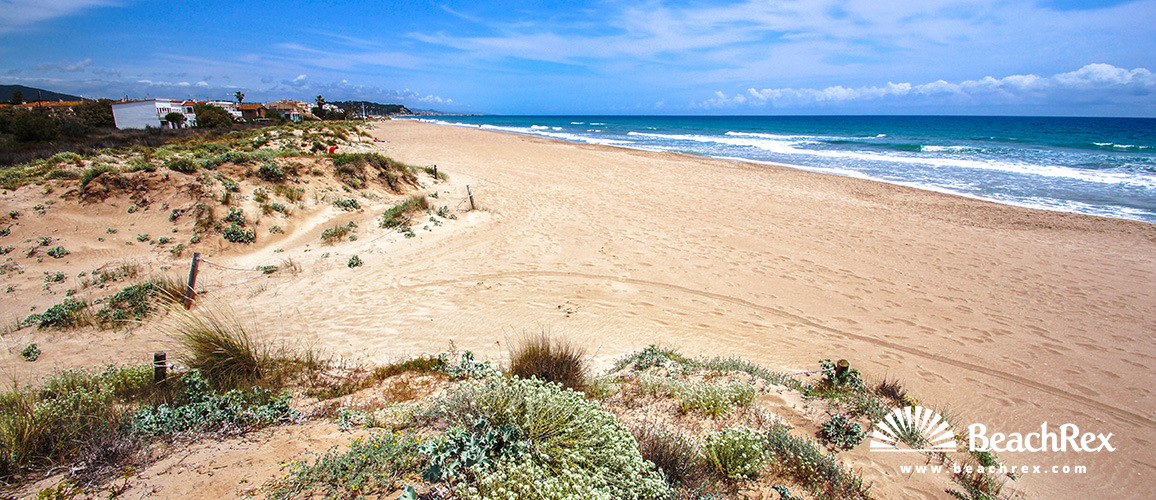 Spain - Camp de Tarragona -  Creixell - Beach Creixell