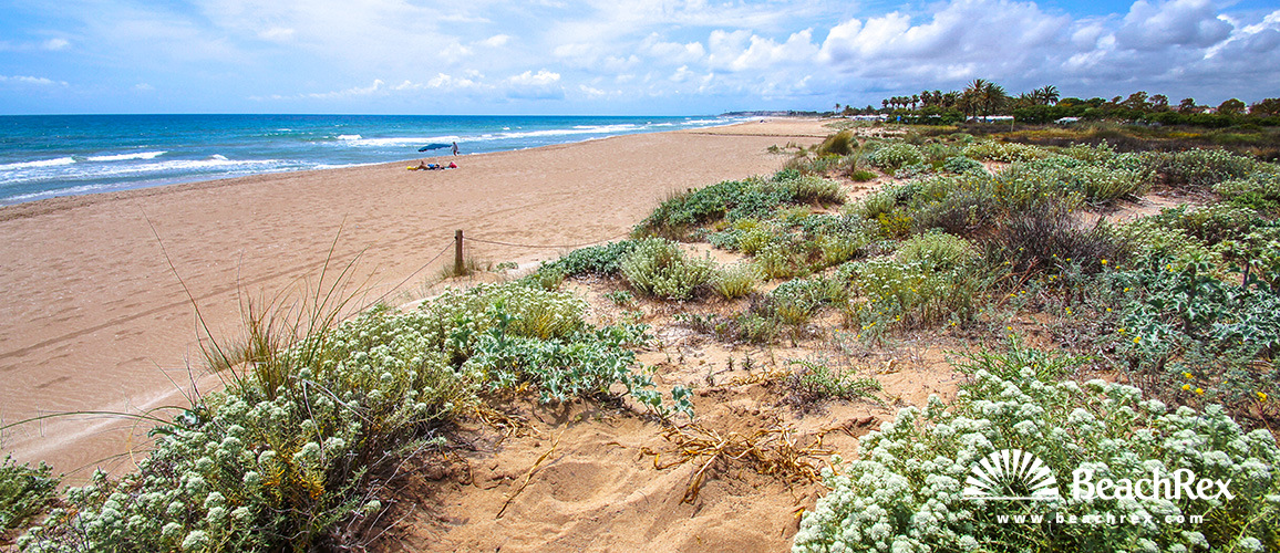 Spain - Camp de Tarragona -  Creixell - Beach Creixell