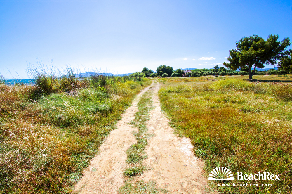 Espana - Camp de Tarragona -  Mont-roig del Camp - Playa Riudecanyes