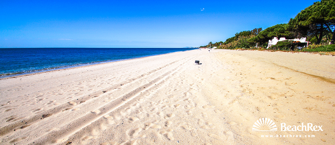 Spain - Camp de Tarragona -  Mont-roig del Camp - Beach dels Pilans