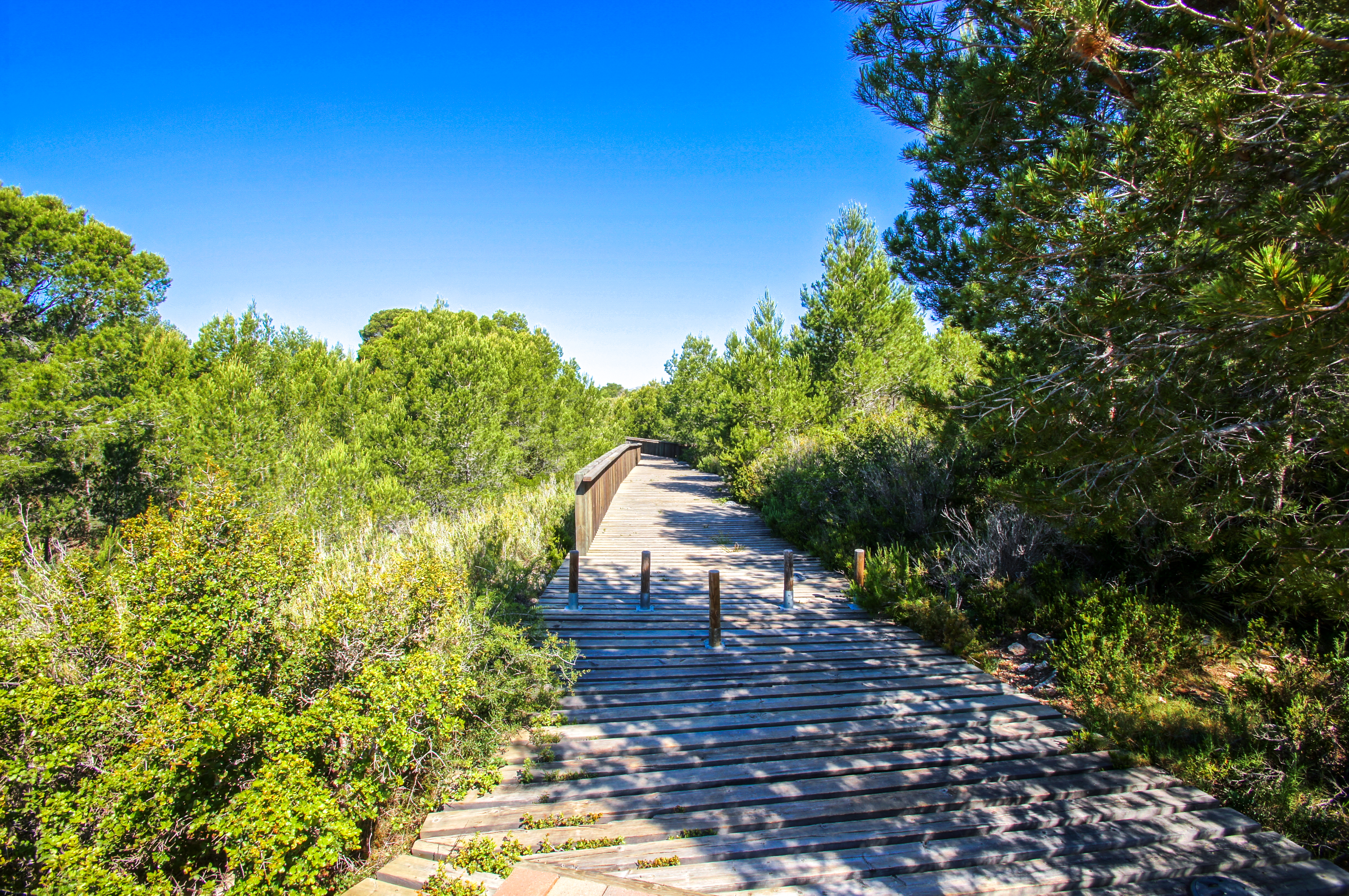Spain - Camp de Tarragona -  Calafat - Cala Llagut
