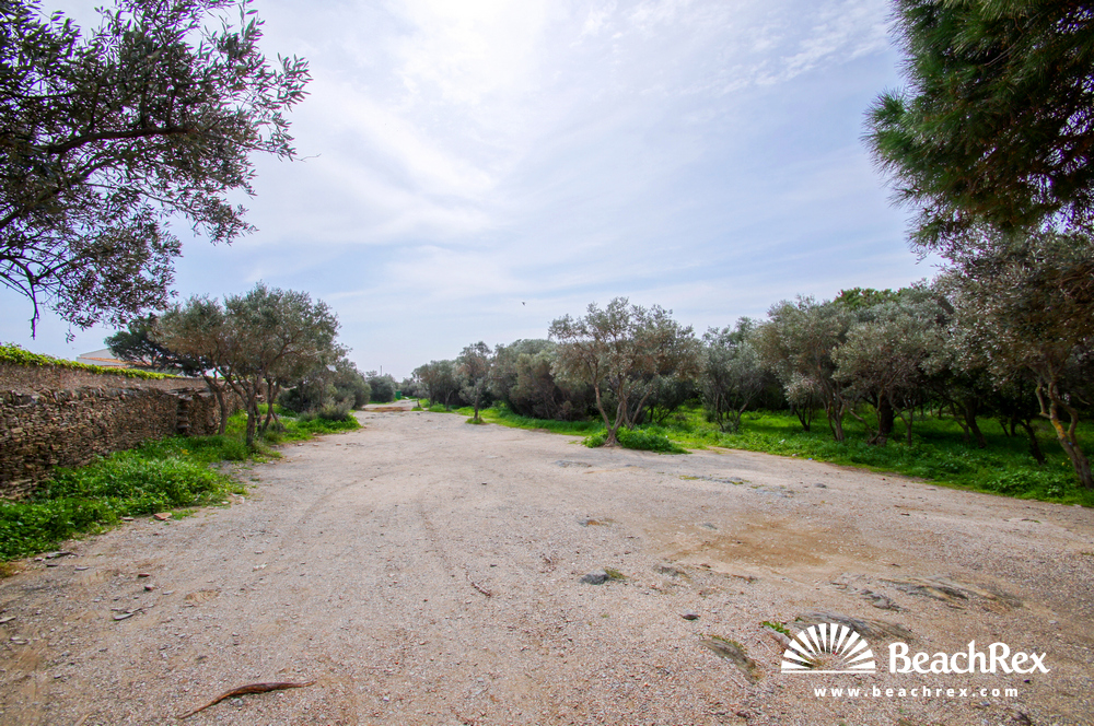 Spain - Comarques gironines -  Cadaqués - Beach Ses Oliveres