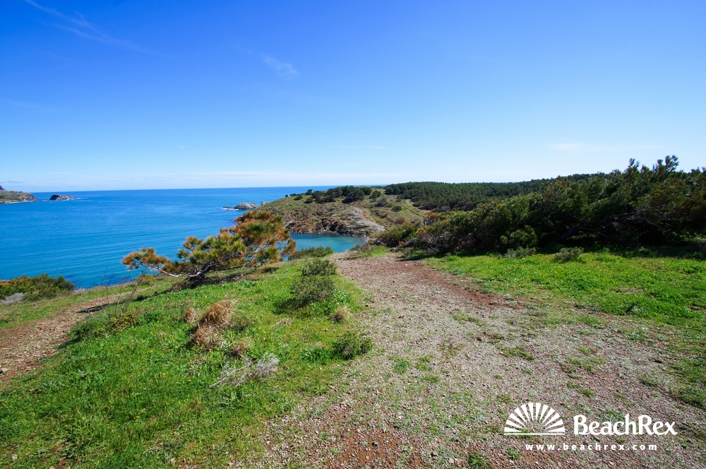 Spain - Comarques gironines -  Llanca - Beach Petita del Futaner
