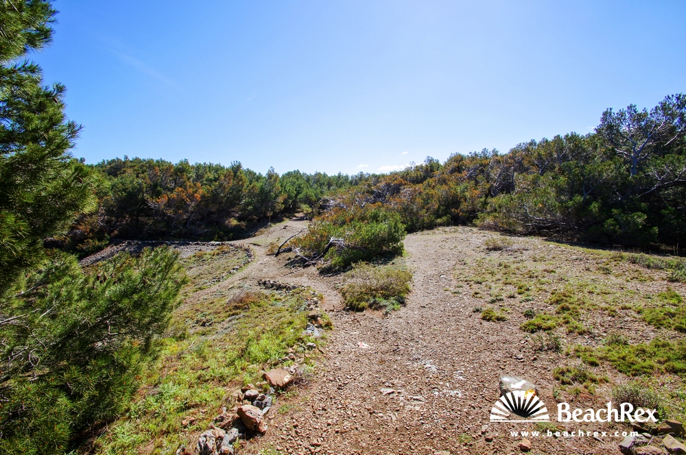 Spain - Comarques gironines -  Llanca - Beach Petita del Futaner