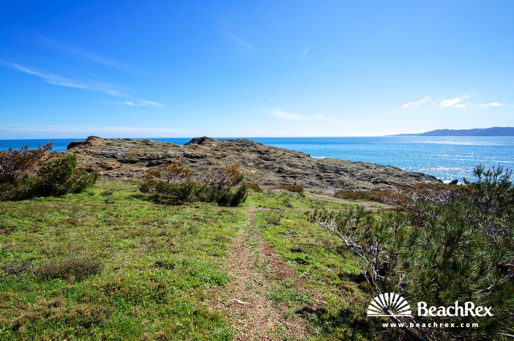 Spain - Comarques gironines -  Llanca - Beach Petita del Futaner