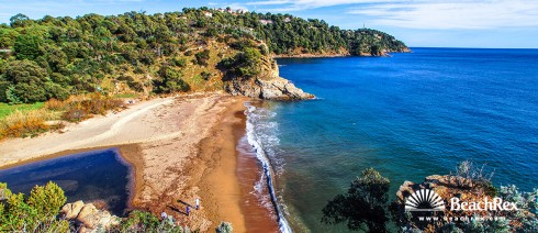 Frankreich - Var -  Cavalaire-sur-Mer - Strand de Bonporteau