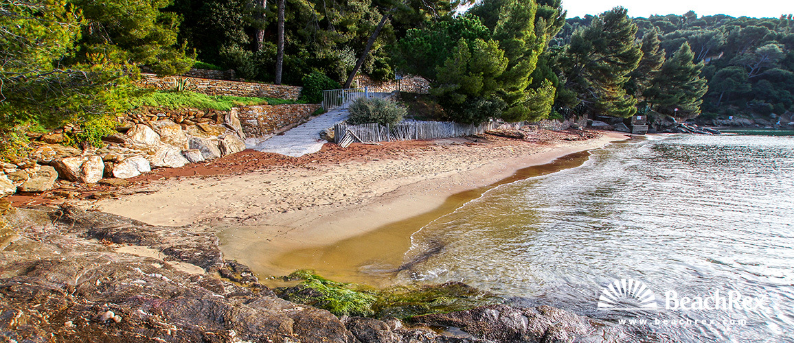 france - Var -  Le Lavandou - Plage du Cap Nègre