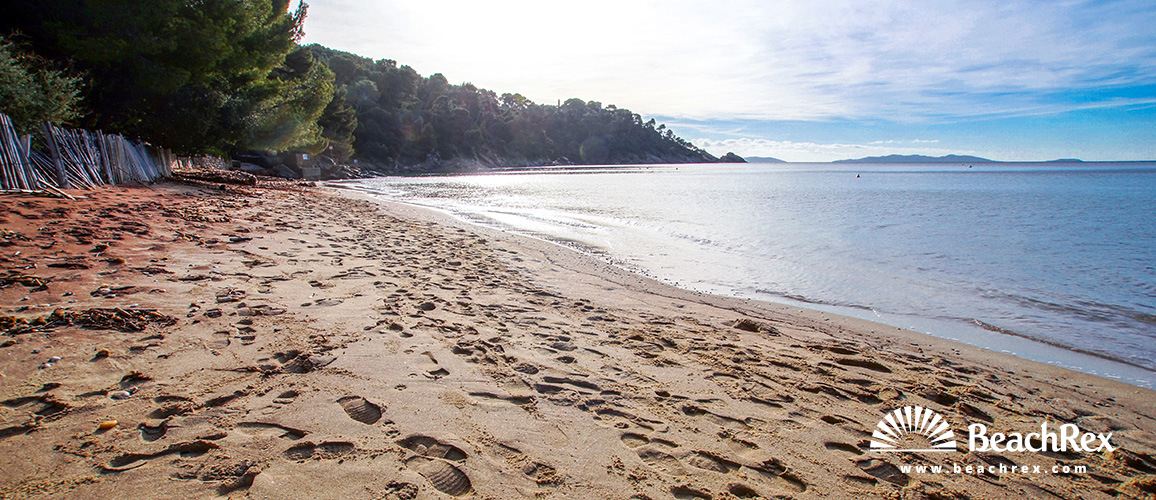 france - Var -  Le Lavandou - Plage du Cap Nègre