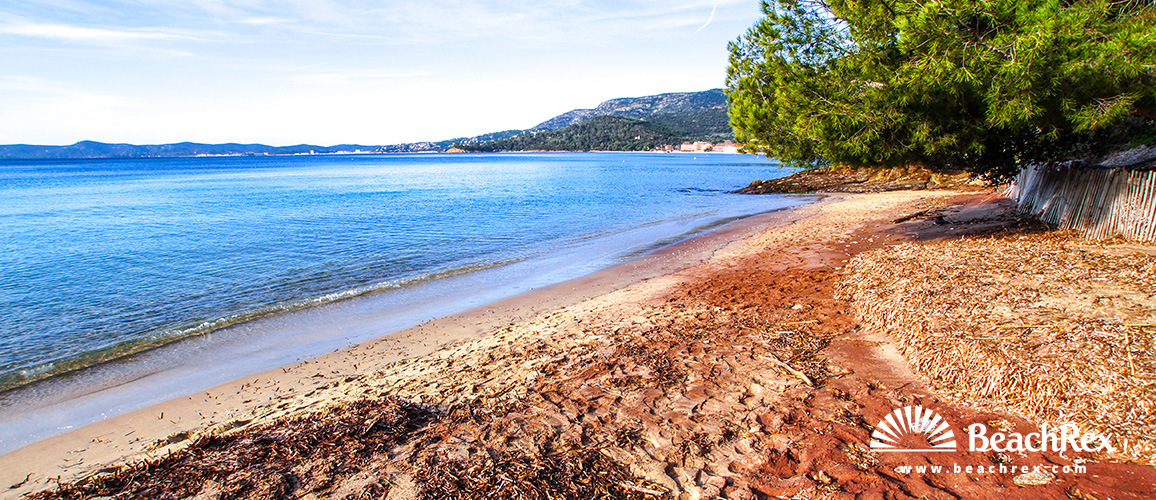 france - Var -  Le Lavandou - Plage du Cap Nègre