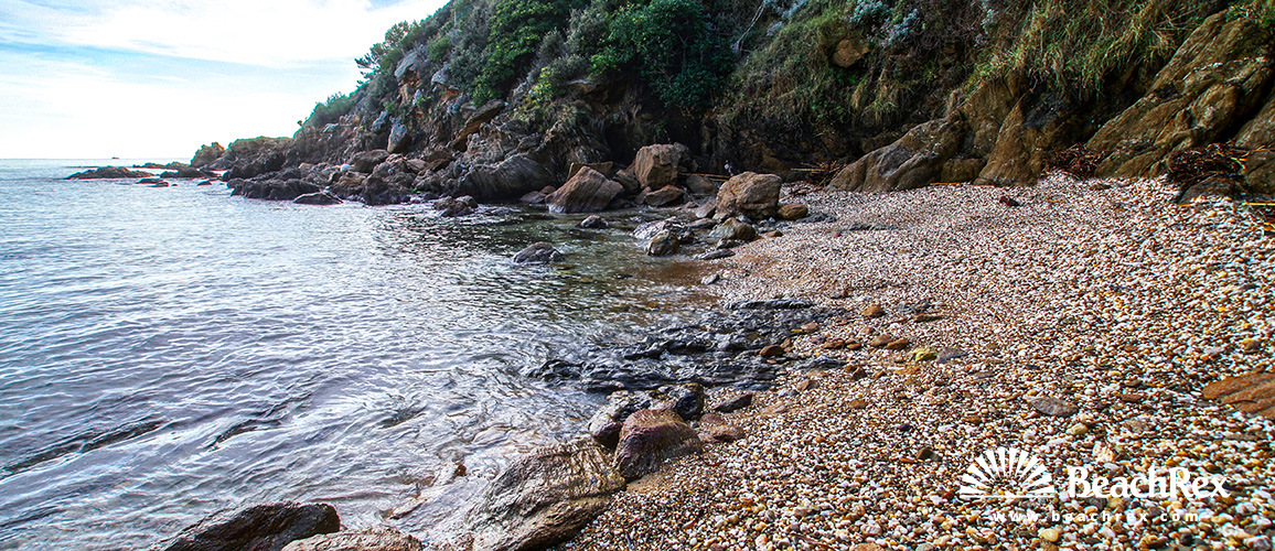 France - Var -  Bormes-les-Mimosas - Beach de la Ris