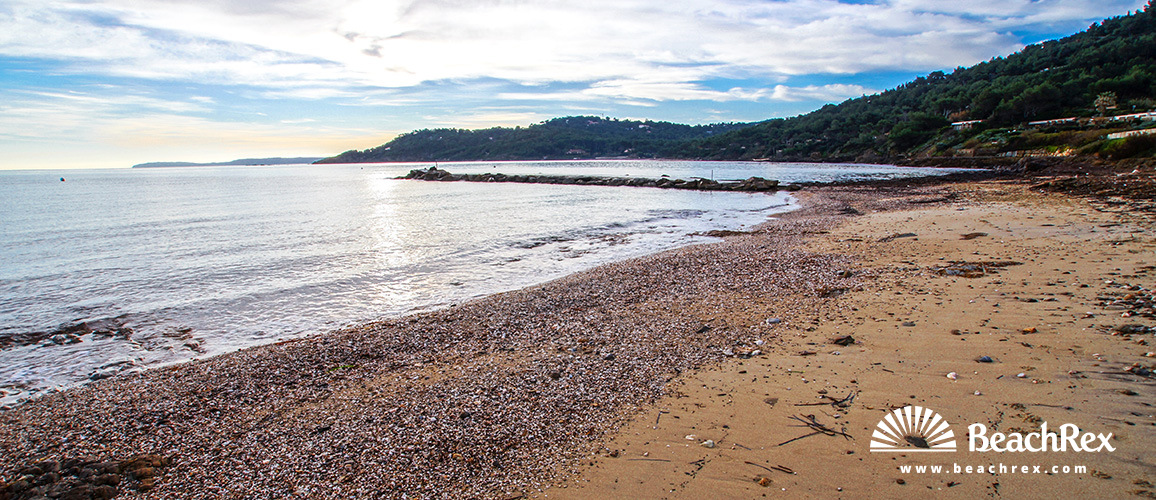 France - Var -  Bormes-les-Mimosas - Beach du Gaou