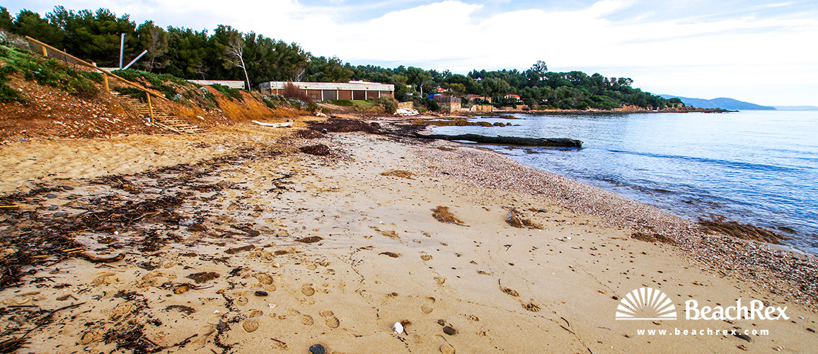 France - Var -  Bormes-les-Mimosas - Beach du Gaou