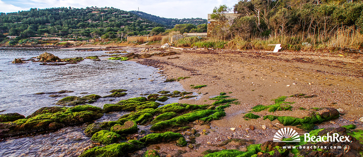France - Var -  Bormes-les-Mimosas - Beach du Gaou