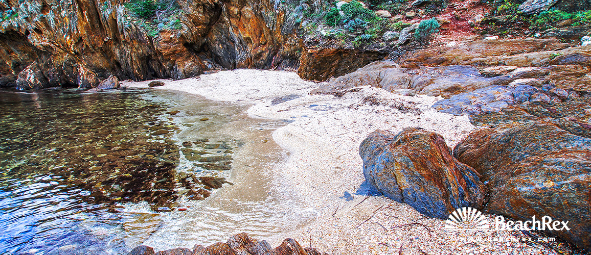 france - Var -  Bormes-les-Mimosas - Plage du Cap