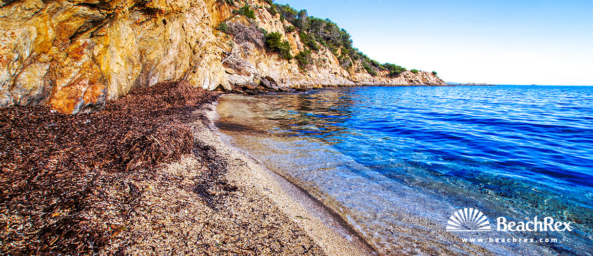 France - Var -  Bormes-les-Mimosas - Beach de l'Esquillette