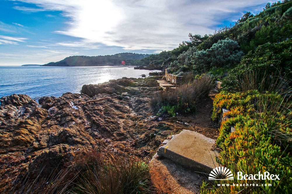 France - Var -  Bormes-les-Mimosas - Beach de l'Esquillette