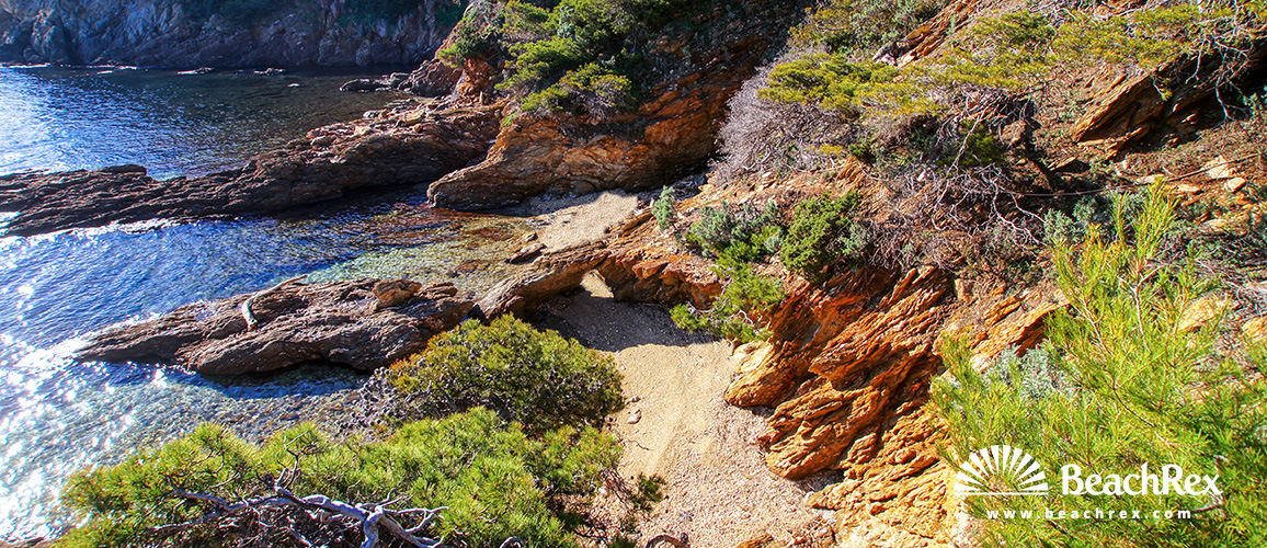 France - Var -  Bormes-les-Mimosas - Beach du Pinet