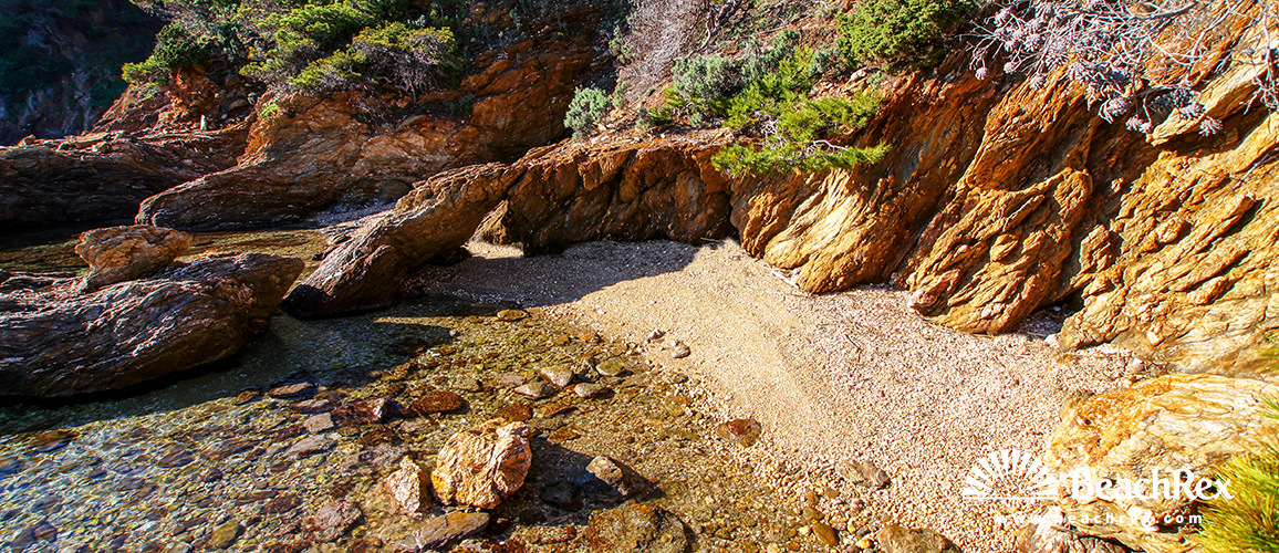 France - Var -  Bormes-les-Mimosas - Beach du Pinet