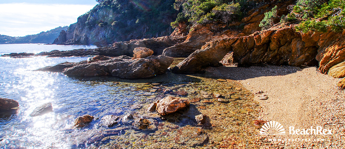 France - Var -  Bormes-les-Mimosas - Beach du Pinet