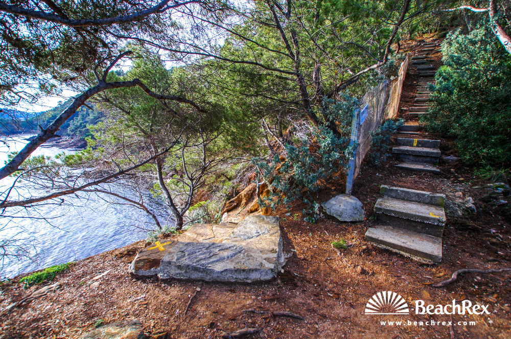 France - Var -  Bormes-les-Mimosas - Beach du Pinet