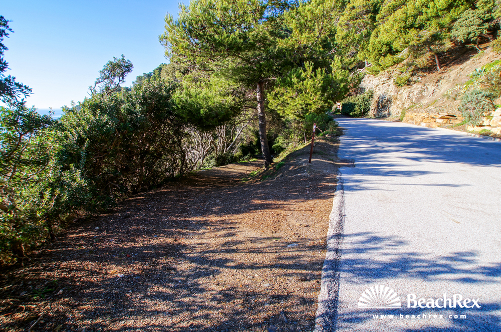 France - Var -  Bormes-les-Mimosas - Beach des Fouirades