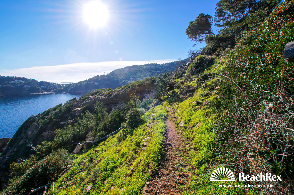 France - Var -  Bormes-les-Mimosas - Beach des Fouirades