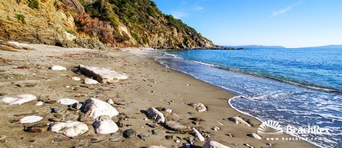 France - Var -  Bormes-les-Mimosas - Beach des Fouirades