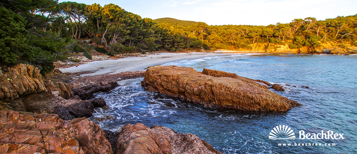 France - Var -  Bormes-les-Mimosas - Beach de la Reine Jeanne