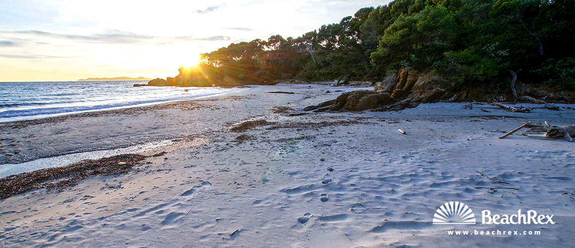 France - Var -  Bormes-les-Mimosas - Beach de la Reine Jeanne