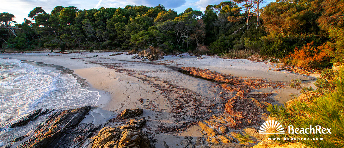 France - Var -  Bormes-les-Mimosas - Beach de la Reine Jeanne