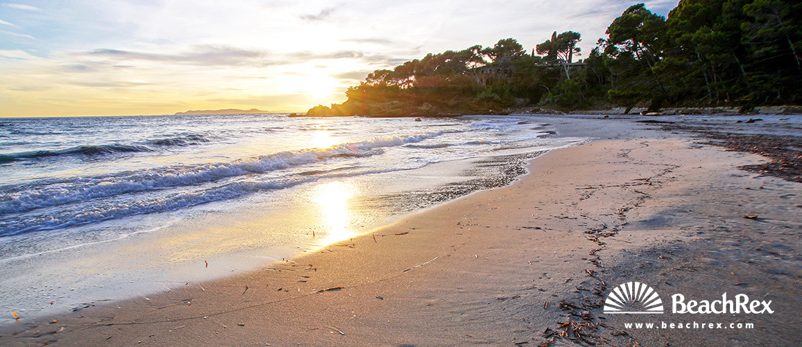 France - Var -  Bormes-les-Mimosas - Beach de la Reine Jeanne