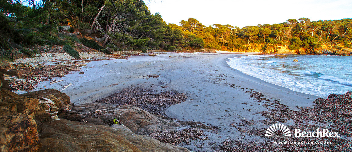 France - Var -  Bormes-les-Mimosas - Beach de la Reine Jeanne