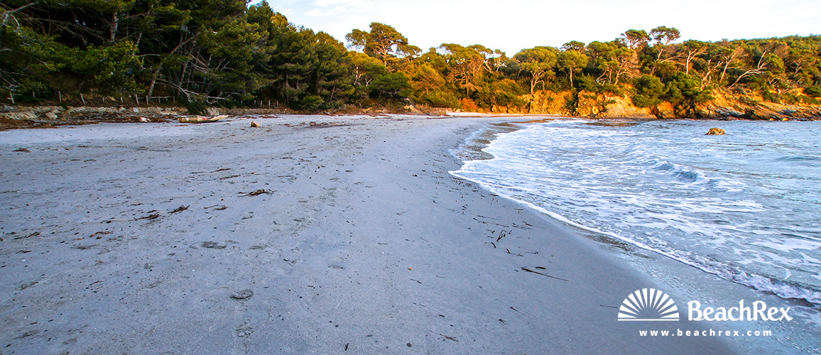 France - Var -  Bormes-les-Mimosas - Beach de la Reine Jeanne