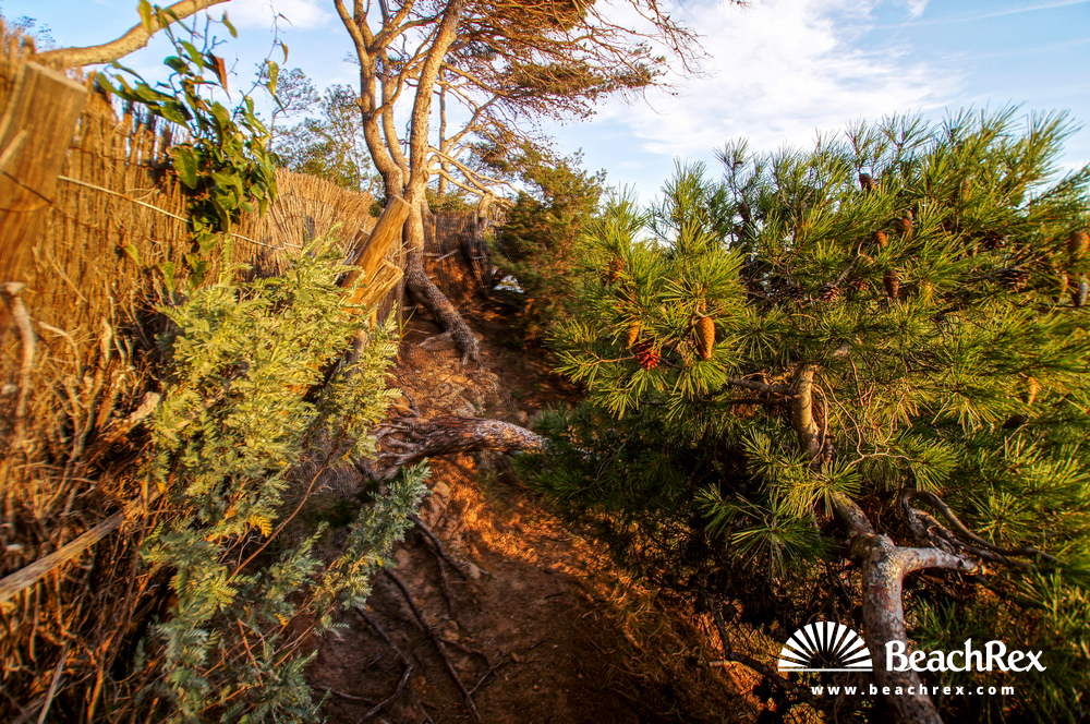 France - Var -  Bormes-les-Mimosas - Beach de la Reine Jeanne