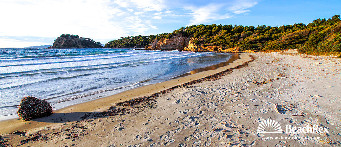 France - Var -  Bormes-les-Mimosas - Beach de la Galère