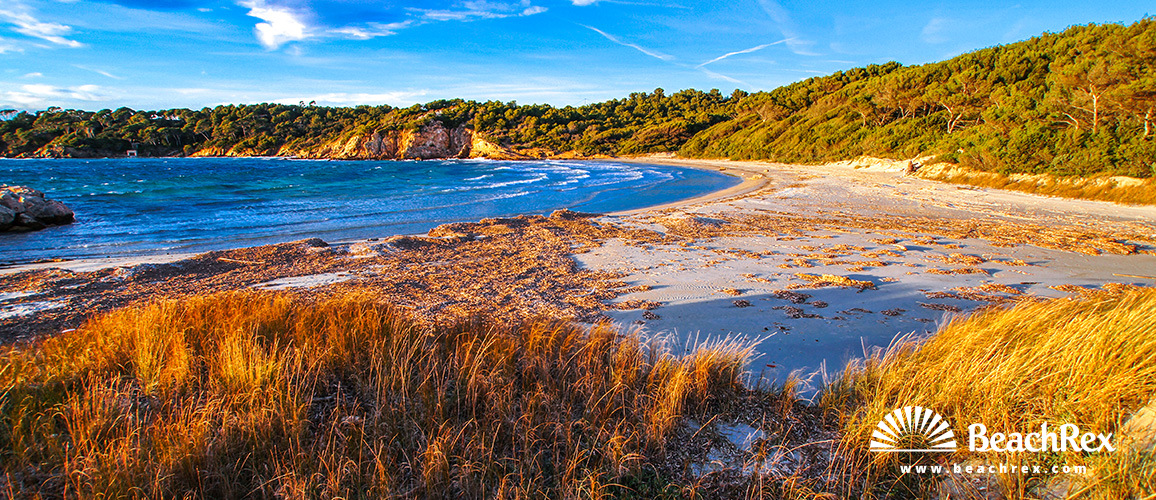 France - Var -  Bormes-les-Mimosas - Beach de la Galère