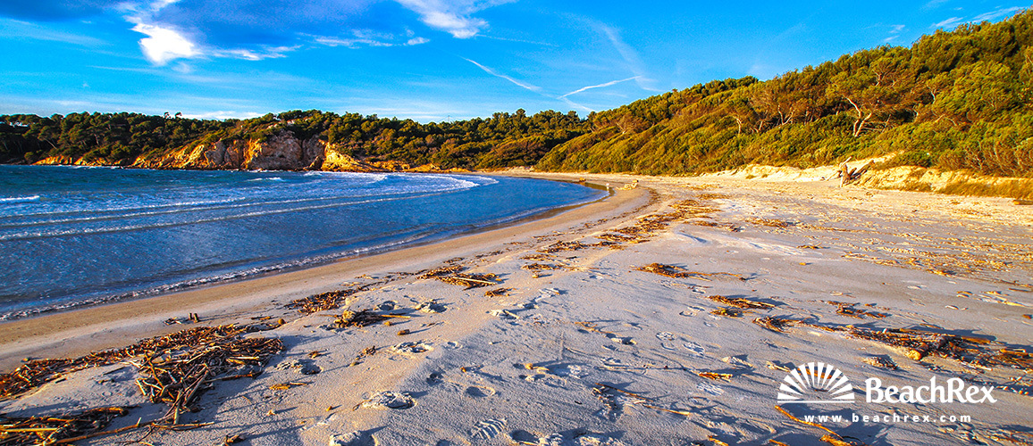 France - Var -  Bormes-les-Mimosas - Beach de la Galère