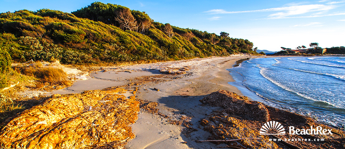 France - Var -  Bormes-les-Mimosas - Beach de la Galère