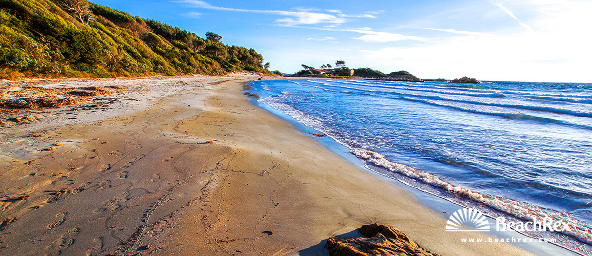 France - Var -  Bormes-les-Mimosas - Beach de la Galère