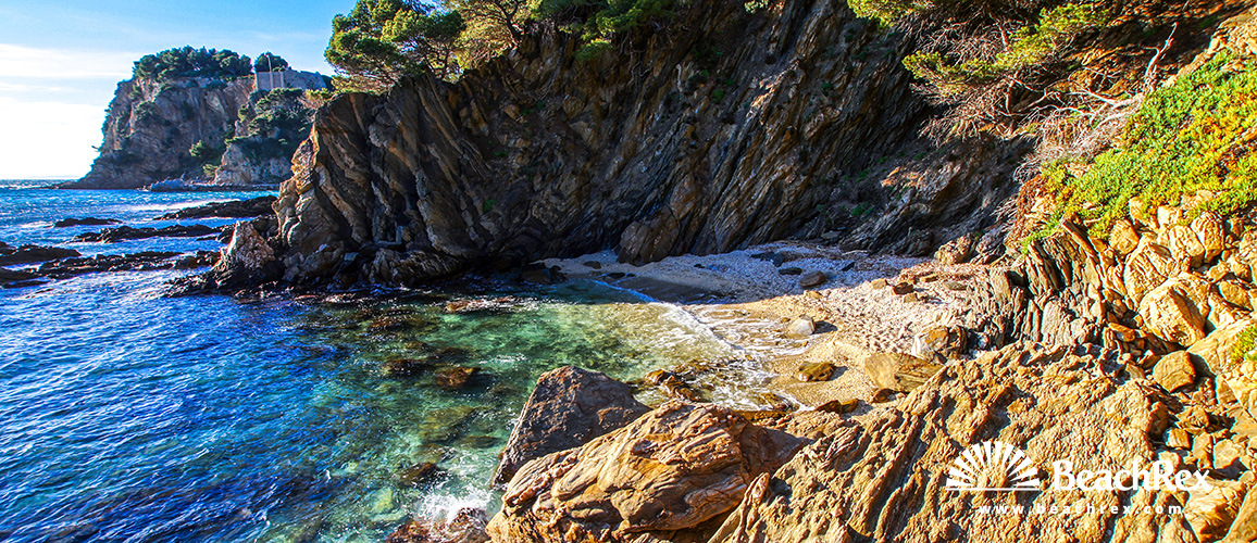 France - Var -  Bormes-les-Mimosas - Beach Crique de Brégançon