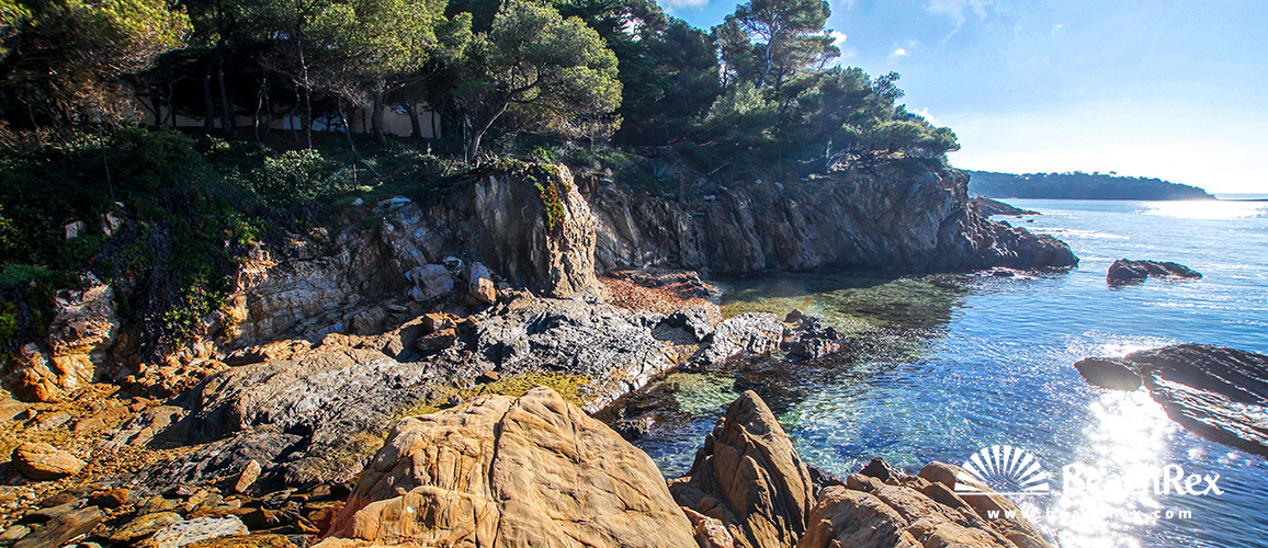 France - Var -  Bormes-les-Mimosas - Beach Tezenas