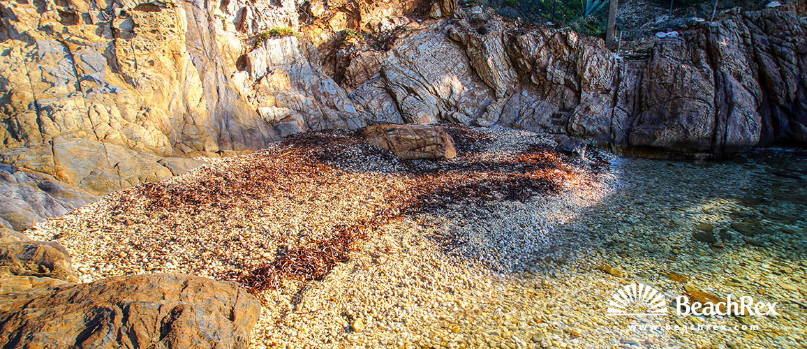 France - Var -  Bormes-les-Mimosas - Beach Tezenas