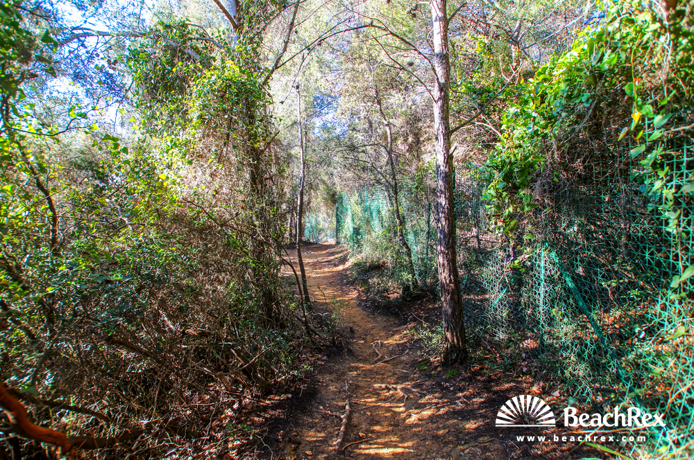 France - Var -  Bormes-les-Mimosas - Beach Tezenas