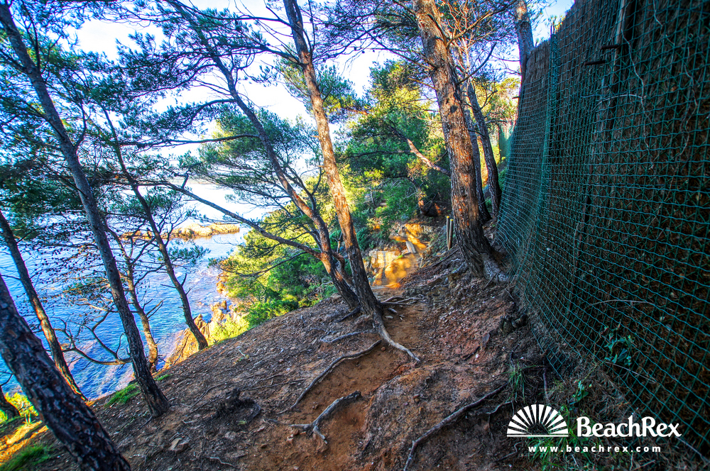 France - Var -  Bormes-les-Mimosas - Beach Tezenas
