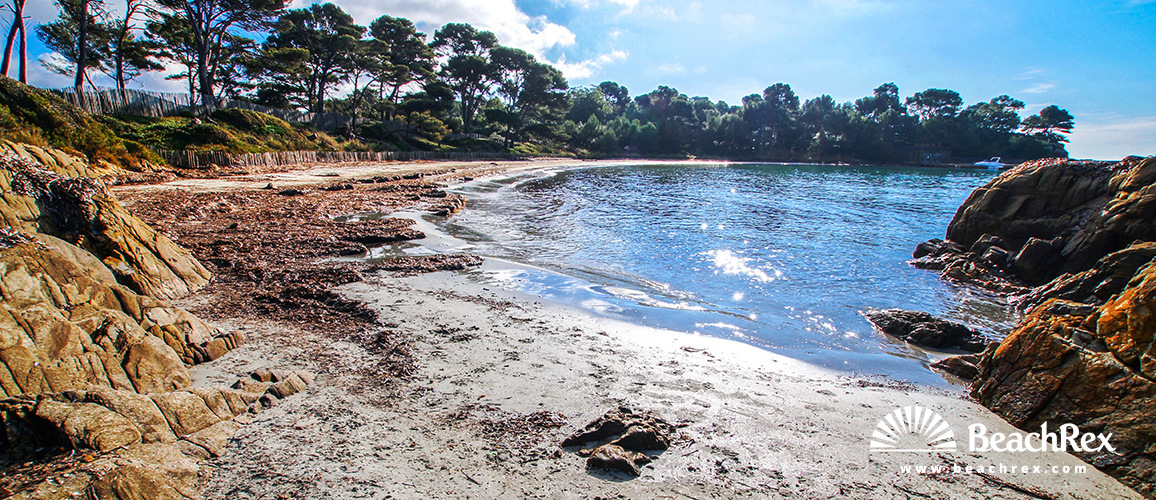 France - Var -  Bormes-les-Mimosas - Beach de la Vignasse