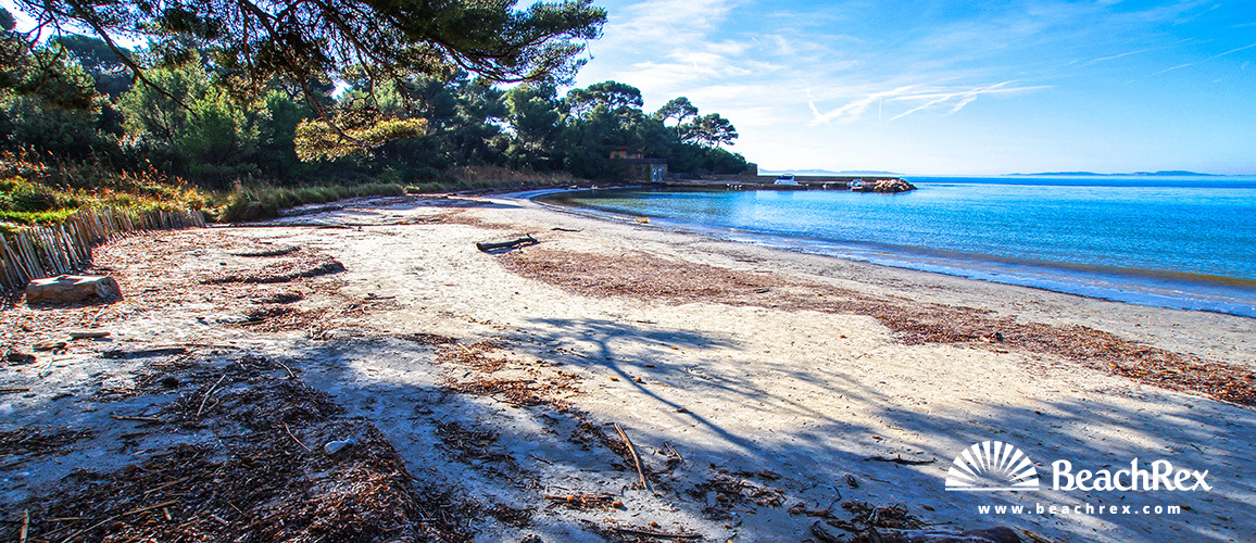 France - Var -  Bormes-les-Mimosas - Beach de la Vignasse