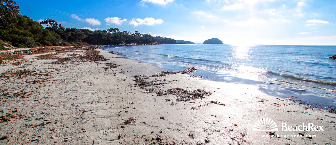France - Var -  Bormes-les-Mimosas - Beach de la Mère Dieu