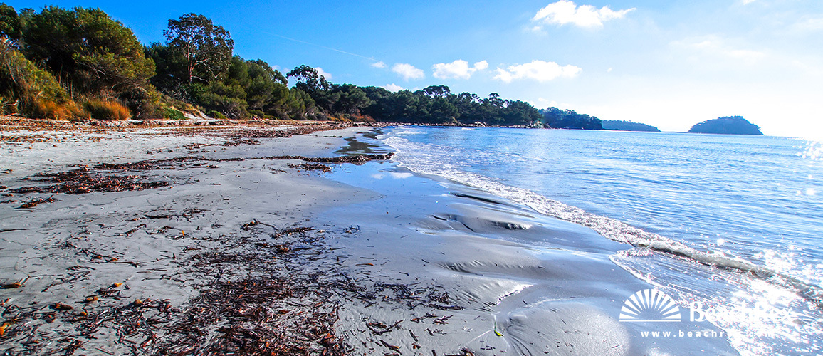 France - Var -  Bormes-les-Mimosas - Beach de la Mère Dieu