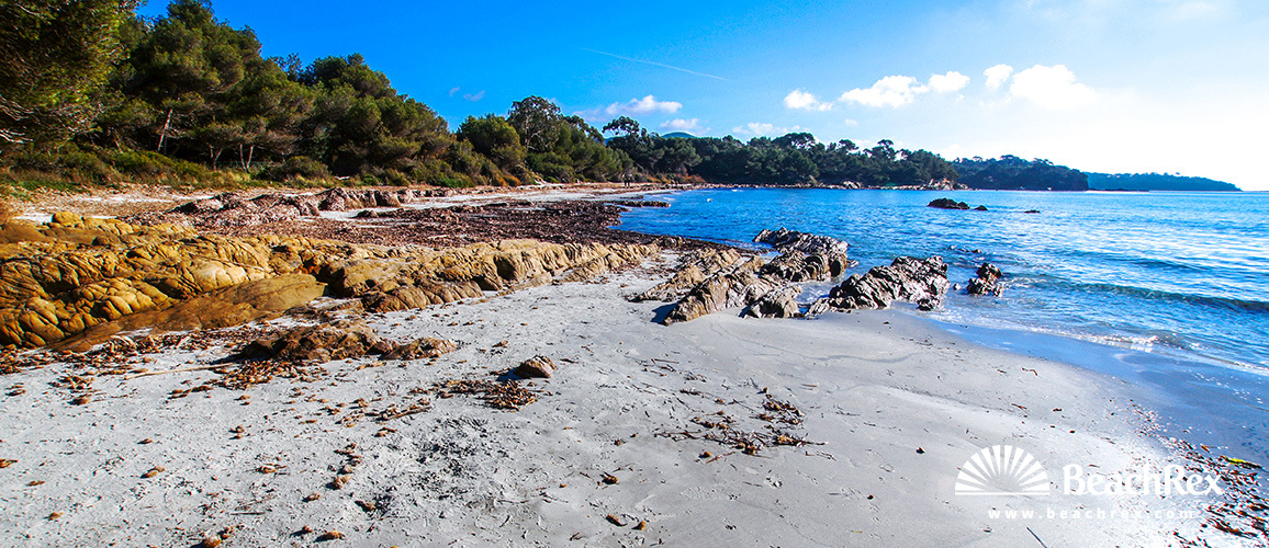France - Var -  Bormes-les-Mimosas - Beach de la Mère Dieu